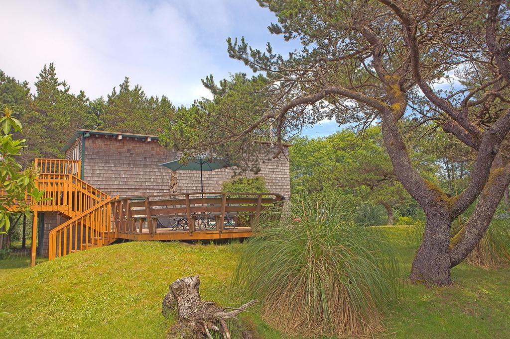 The Dragonfly Cabin Grayland Exteriér fotografie